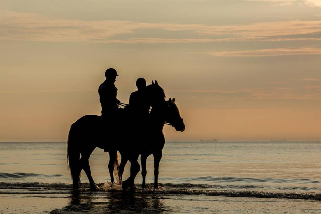 Hoekje Up Katwijk aan Zee Екстер'єр фото