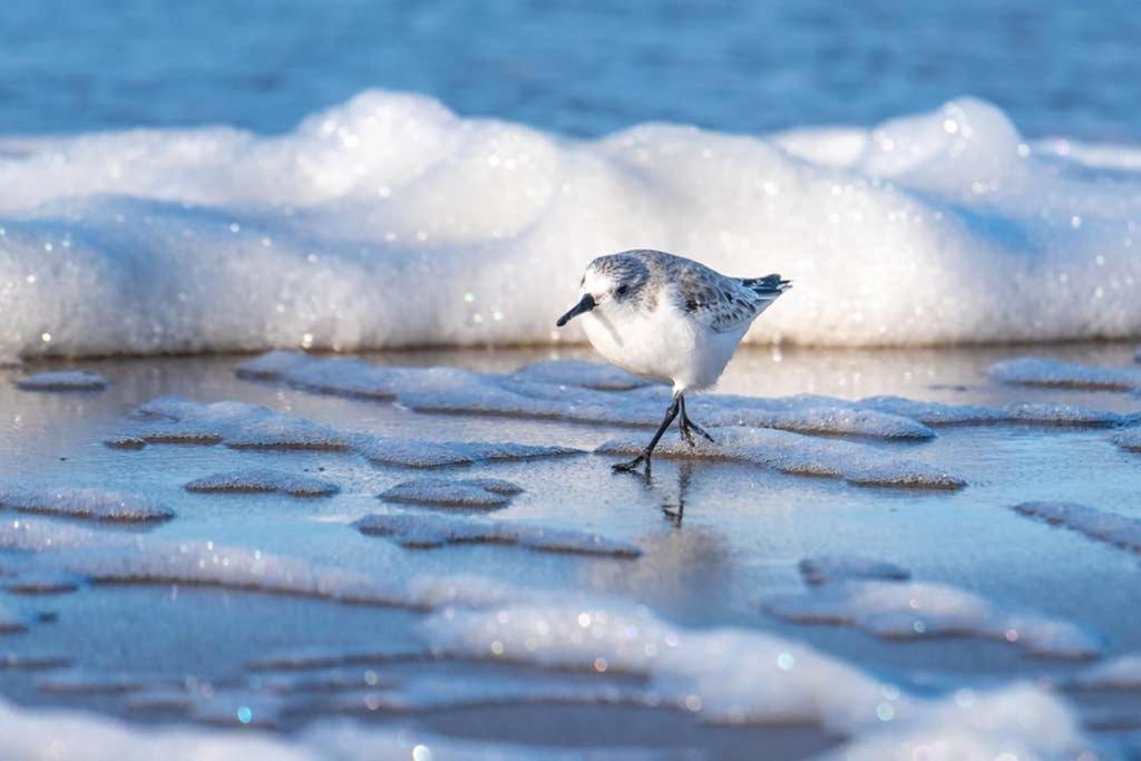 Hoekje Up Katwijk aan Zee Екстер'єр фото